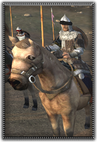 Emir's Elite Ghulam Cavalry 精銳埃米爾宮廷奴隸騎兵衛隊