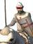 Templar Knights 聖殿騎士
