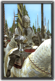 Feudal Knights