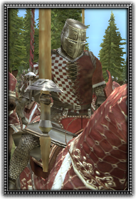 Feudal Knights