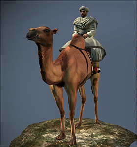 Camel Warriors