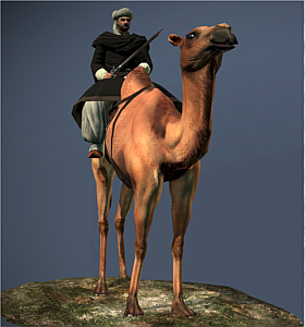 Camel Gunners