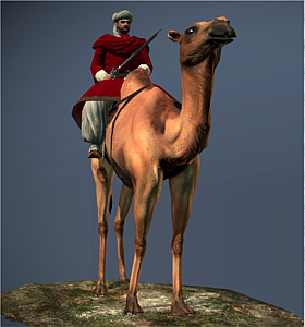 Shaturnal Camel Gunners