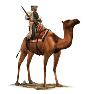 Shaturnal Camel Gunners